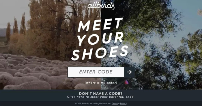 Allbirds meet 2025 your shoes