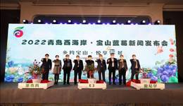 品牌赋能！青岛西海岸蓝莓IP首次亮相，宝山蓝莓季活动精彩纷呈