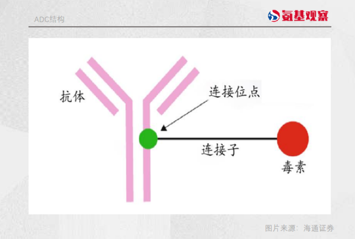 管家婆马报图今晚