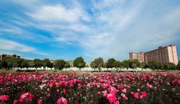 西京学院科研竞争力再获全国民办本科院校第一