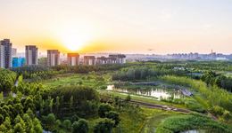 聚焦全市九个方面重点工作，沣西新城城市建设“加速跑”