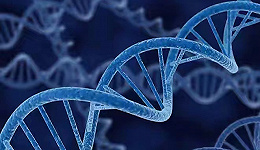 基因诊断，只是“配方”而非“蓝图”？