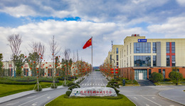 成都互动深圳 上市公司确定落户