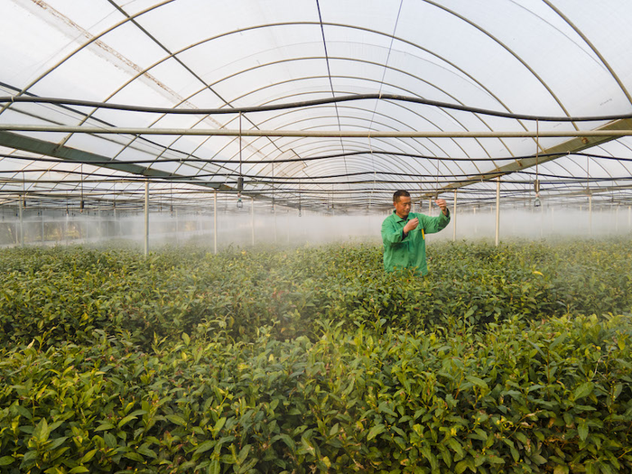 临沂这十年 临沭:建设沂蒙老区"好日子"示范区