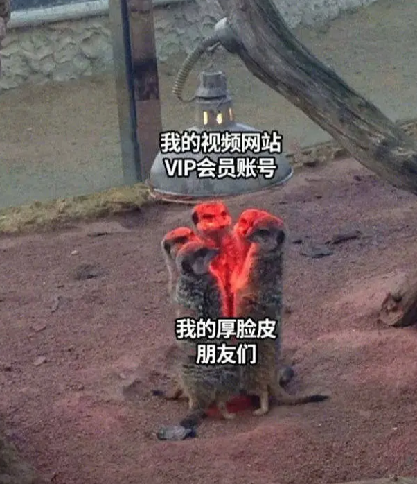 管家婆马报图今晚