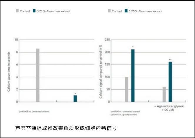 管家婆马报图今晚