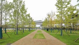 陕西建新绿环：建设品质沣西，发展低碳经济