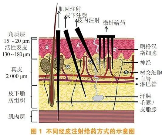 管家婆马报图今晚