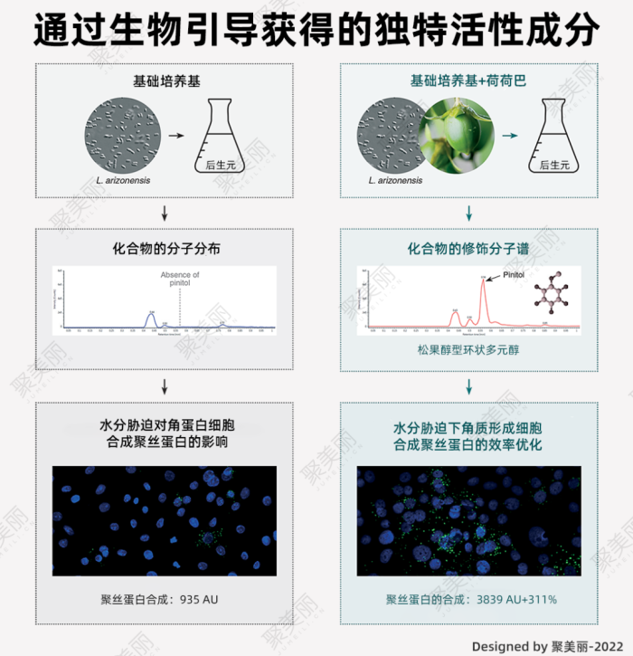 管家婆马报图今晚