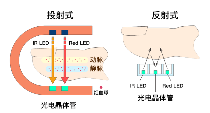 管家婆马报图今晚