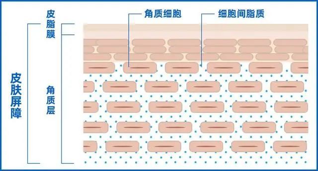 管家婆马报图今晚