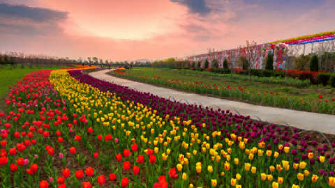 相约安徽·向春而行| 惊艳，芜湖市春季赏花全攻略