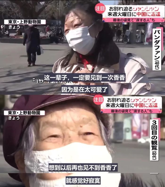 管家婆马报图今晚