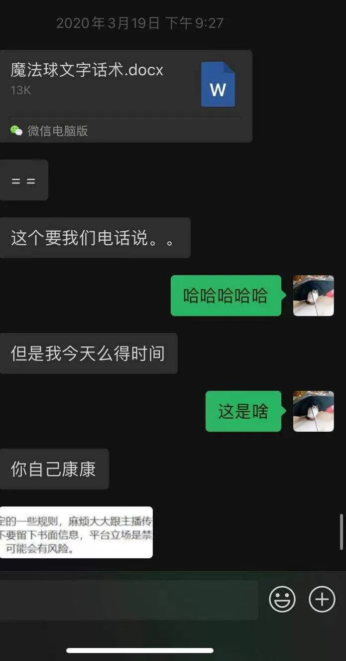 管家婆马报图今晚