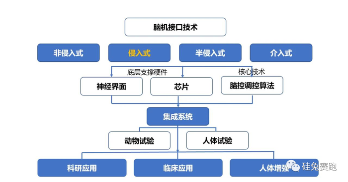 管家婆马报图今晚