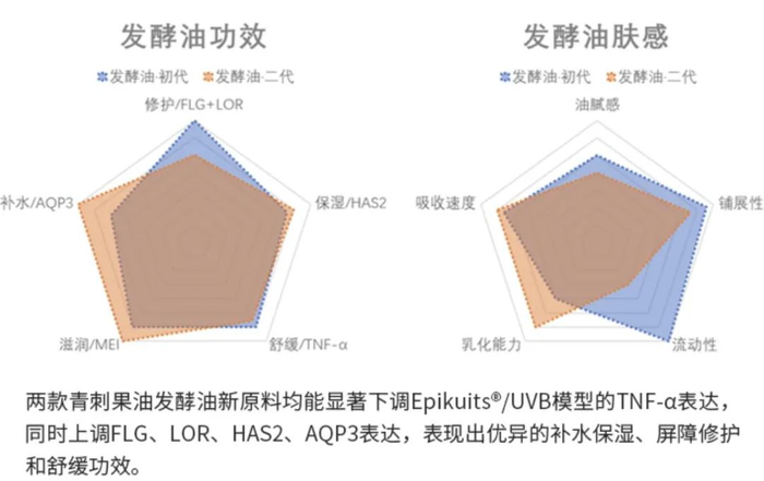 管家婆马报图今晚