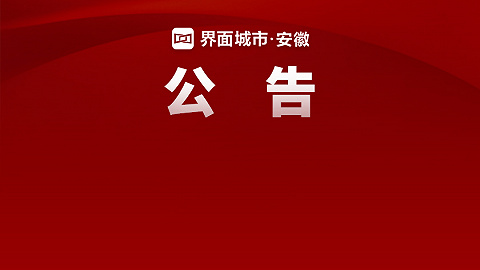 安庆市发布2024年引进党政储备人才公告