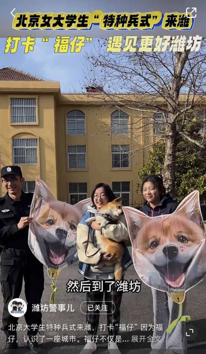 管家婆马报图今晚