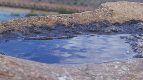 唐山市陡河水库库区水质常态保持在Ⅱ类及以上
