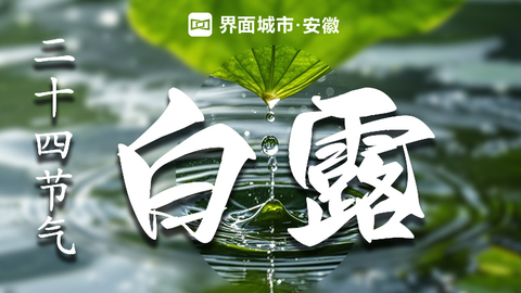 二十四節(jié)氣原創(chuàng)視頻——白露