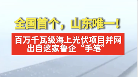 山东唯一！百万千瓦级海上光伏项目井网