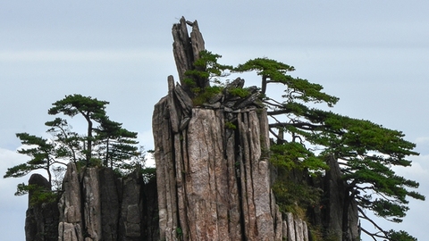 近5折“抄底”，黃山旅游拿下在建酒店