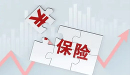 2024險(xiǎn)企命脈盤(pán)點(diǎn)：發(fā)債與舉牌狂飆的深層邏輯