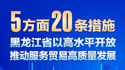 圖解|黑龍江省以高水平開放推動(dòng)服務(wù)貿(mào)易高質(zhì)量發(fā)展若干措施