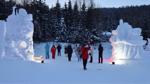 中国雪乡：20件雪雕作品成游客新宠