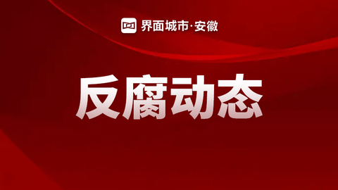 安徽纪检监委通报