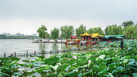 山東文旅觀察｜出游熱情高漲！5月2日濟南30家重點監(jiān)測景區(qū)接待游客超90萬人次