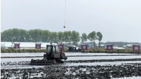 全國糧油大面積單產(chǎn)提升現(xiàn)場推進(jìn)會在綏化市召開