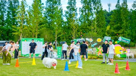 现代小镇，一场跨越数千年的田园乡居梦