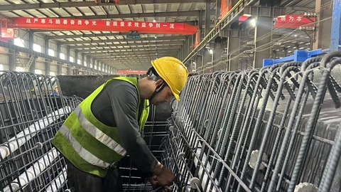 项目建设进行时｜呼兰河特大桥建设开启“加速模式”