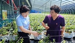 金融活水润港城：中国人寿烟台分公司绘就普惠金融温暖画卷