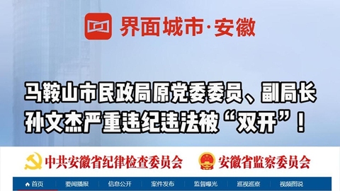 孙文杰严重违纪违法被“双开”！