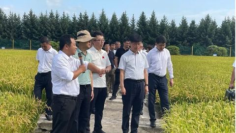 绿色超级稻院士工作站在佳木斯国家农高区揭牌