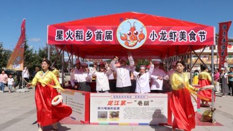 桦川县星火稻乡举办首届小龙虾节 开启农文旅融合新篇章