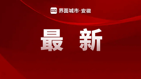 2025年中国民营企业500强榜单发布，11家皖企上榜