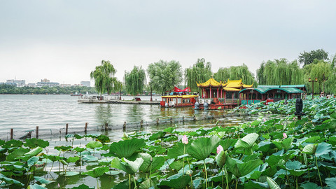 山东文旅观察 | 暑期文旅跻身全国前十，济南做对了什么？