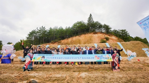 一味好药始于土地｜岳西茯苓溯源之旅，见证仲景宛西制药“道地”坚守