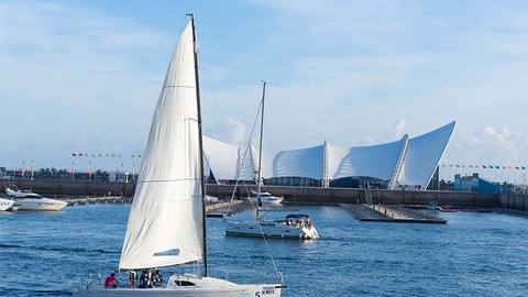 “并购大单”出炉！胜利股份收购控股股东资产，标的公司前三季狂赚2.1亿