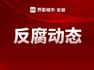 原桐城双新经济开发区党工委副书记王四青被开除党籍