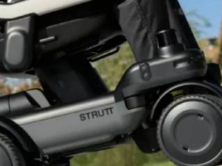 TOPBRAND | 雅诗兰黛投资XINú；宇树科技完成IPO辅导工作；高盛将收购汉堡王日本业务；沃尔玛任命CEO