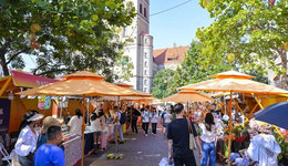 山东城市观察|青岛市南：优化创新创业生态静待“梦想照进现实”