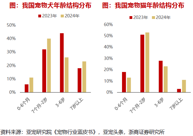 毛孩子老去，老年宠物照护的困境与市场机遇