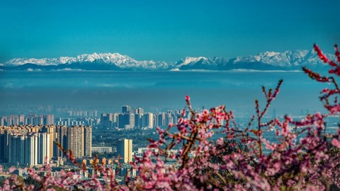 决胜“十四五” 初冬成都热力澎湃