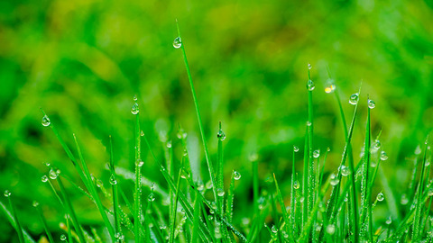 河北省自然资源督察工作协调机制办公室公开通报4起违规种植草皮问题